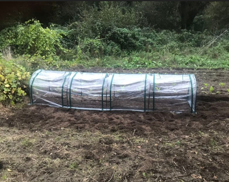 Portable Tunneled Greenhouse With 4 Zippered Doors, Water UV Fighting PVC Cover — Dark Green Clear