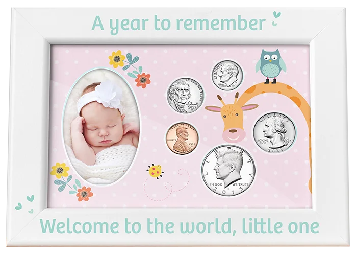 Babys First Year Coin & Photo Frame (Girl)