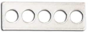 Whitman 2x6 State Quarter Strip 5 Hole - (25 pack)