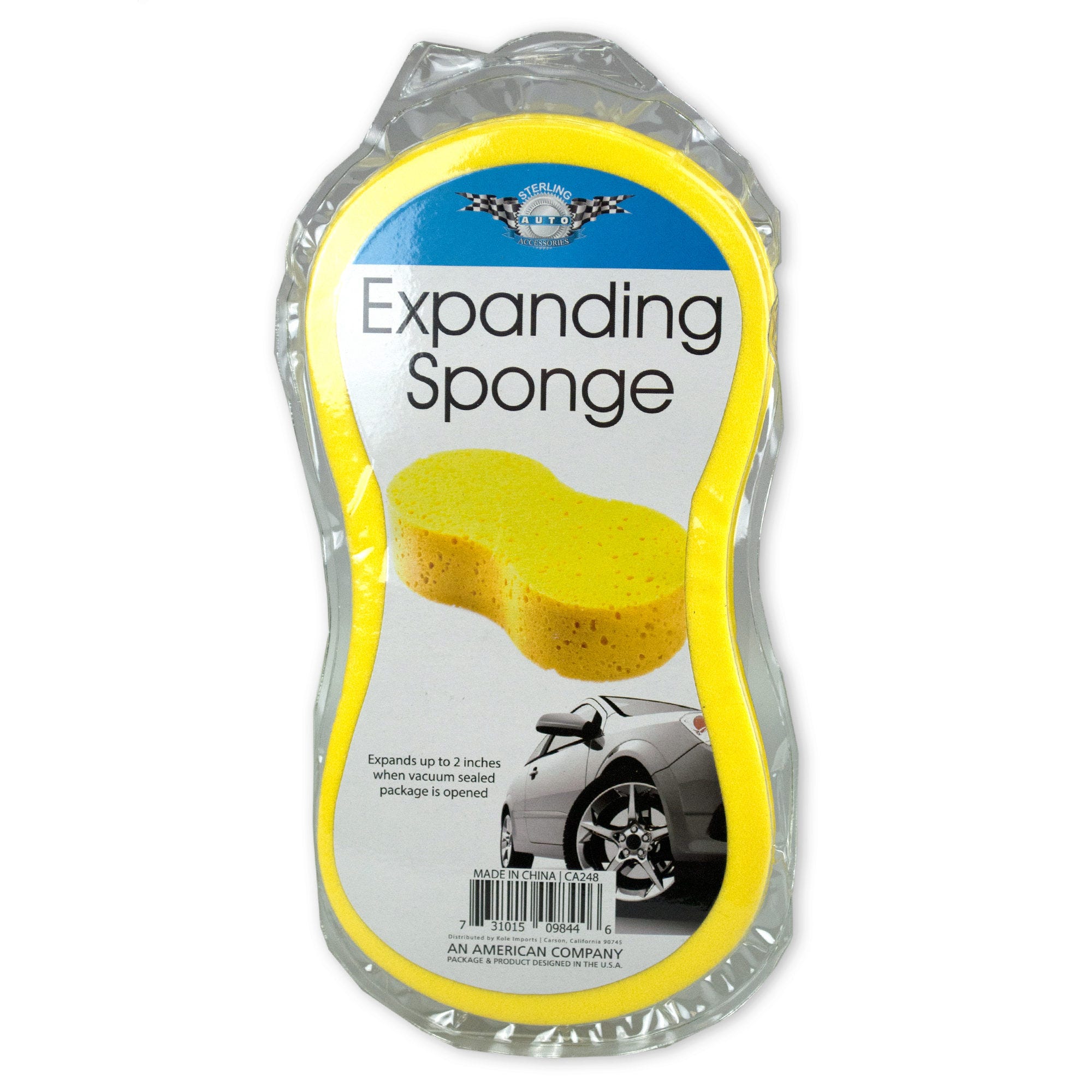 Bulk 24-Pack: Expanding Sponge