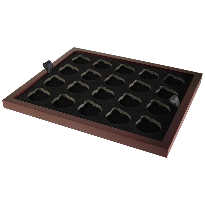 Medium Capsule Tray - Holds 20 Round Medium Sized Guardhouse Coin Capsules