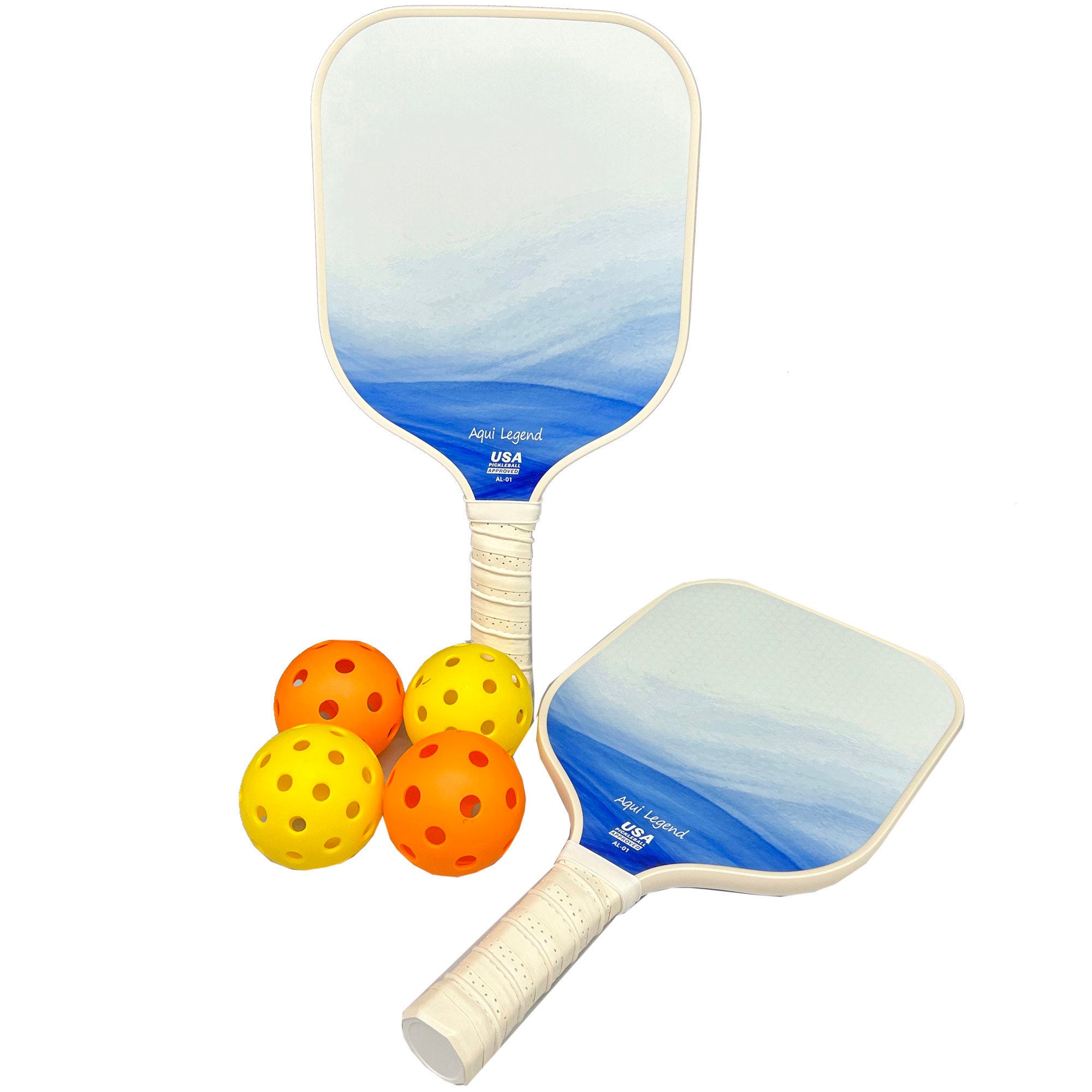 Blue Shades Pickleball Set with 4 Balls and Carry Bag (pack of 2)