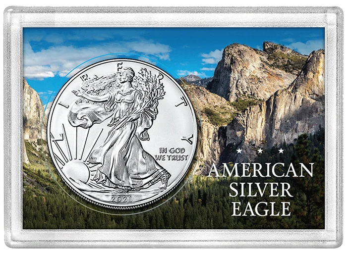 ASE Frosty Case - Mountain Forest